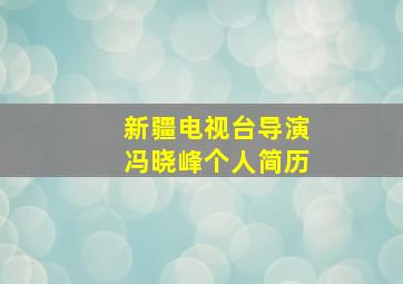 新疆电视台导演冯晓峰个人简历