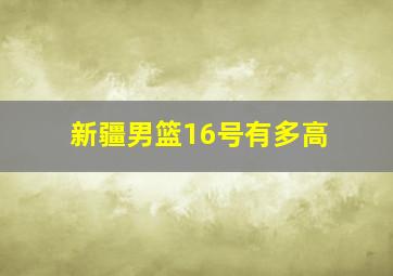 新疆男篮16号有多高