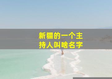 新疆的一个主持人叫啥名字