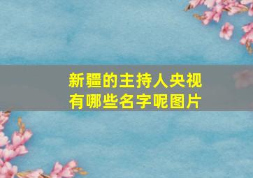 新疆的主持人央视有哪些名字呢图片