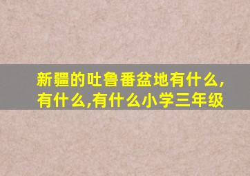 新疆的吐鲁番盆地有什么,有什么,有什么小学三年级