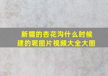 新疆的杏花沟什么时候建的呢图片视频大全大图