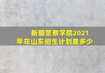 新疆警察学院2021年在山东招生计划是多少