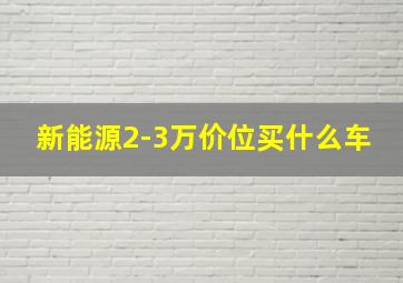 新能源2-3万价位买什么车