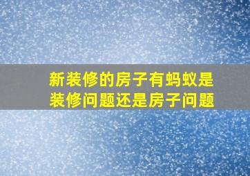 新装修的房子有蚂蚁是装修问题还是房子问题