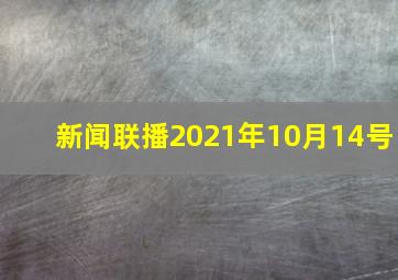 新闻联播2021年10月14号