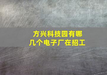 方兴科技园有哪几个电子厂在招工