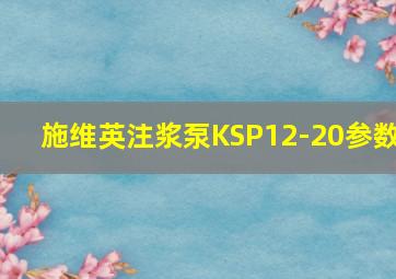 施维英注浆泵KSP12-20参数