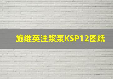 施维英注浆泵KSP12图纸