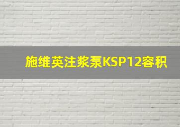 施维英注浆泵KSP12容积