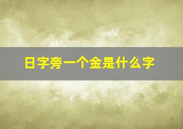 日字旁一个金是什么字