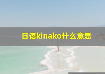 日语kinako什么意思