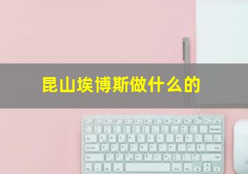 昆山埃博斯做什么的