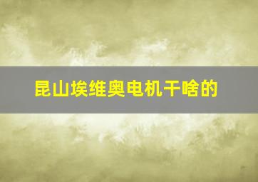 昆山埃维奥电机干啥的