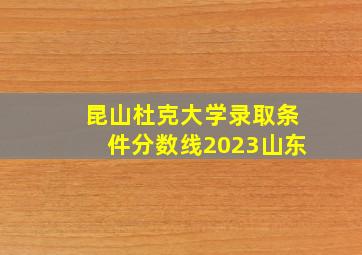 昆山杜克大学录取条件分数线2023山东