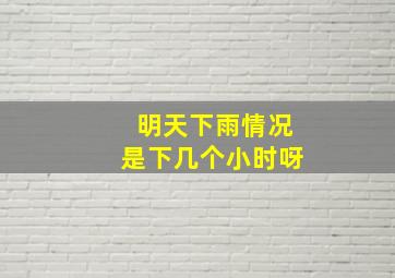 明天下雨情况是下几个小时呀