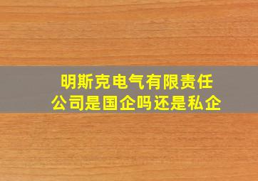 明斯克电气有限责任公司是国企吗还是私企