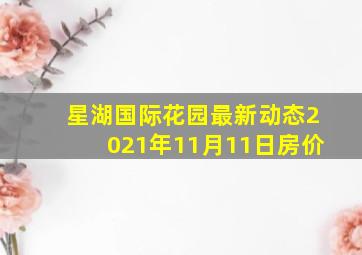 星湖国际花园最新动态2021年11月11日房价