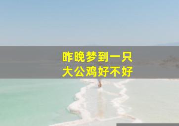 昨晚梦到一只大公鸡好不好