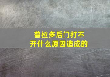 普拉多后门打不开什么原因造成的