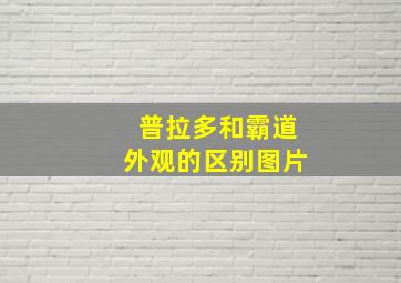 普拉多和霸道外观的区别图片