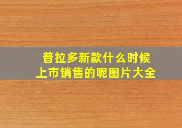 普拉多新款什么时候上市销售的呢图片大全