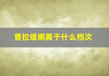 普拉缇娜属于什么档次