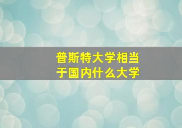 普斯特大学相当于国内什么大学