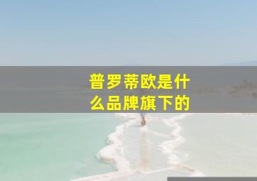 普罗蒂欧是什么品牌旗下的