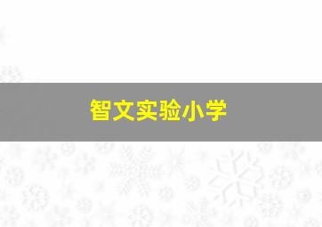 智文实验小学