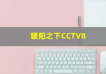 暖阳之下CCTV8