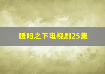 暖阳之下电视剧25集