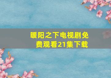 暖阳之下电视剧免费观看21集下载