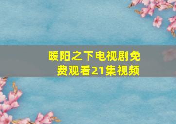 暖阳之下电视剧免费观看21集视频