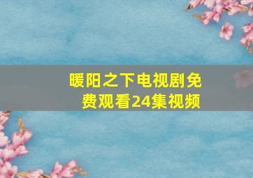 暖阳之下电视剧免费观看24集视频