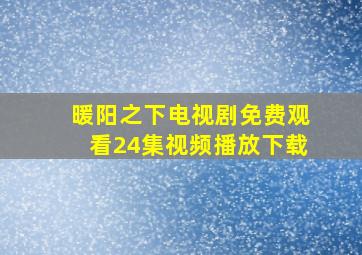 暖阳之下电视剧免费观看24集视频播放下载