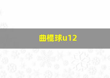 曲棍球u12