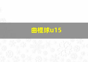 曲棍球u15