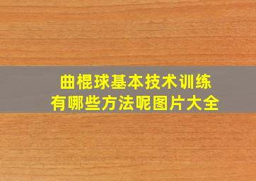 曲棍球基本技术训练有哪些方法呢图片大全