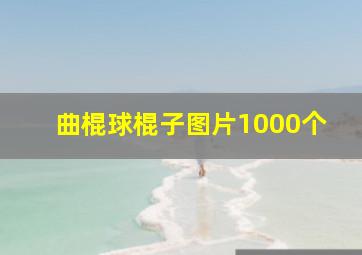 曲棍球棍子图片1000个