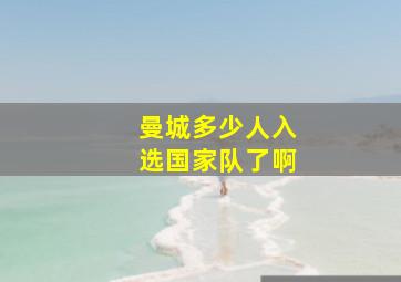 曼城多少人入选国家队了啊