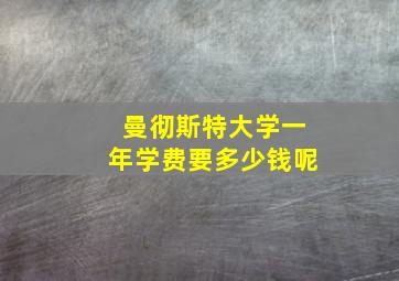 曼彻斯特大学一年学费要多少钱呢