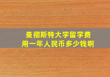 曼彻斯特大学留学费用一年人民币多少钱啊