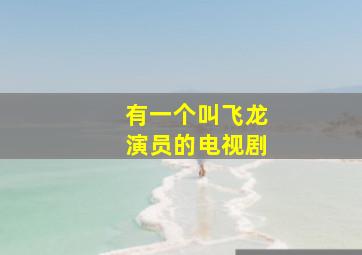 有一个叫飞龙演员的电视剧