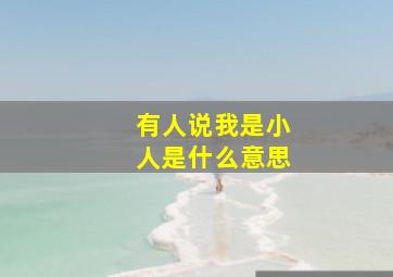 有人说我是小人是什么意思