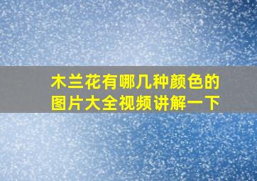 木兰花有哪几种颜色的图片大全视频讲解一下