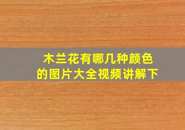 木兰花有哪几种颜色的图片大全视频讲解下