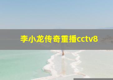 李小龙传奇重播cctv8