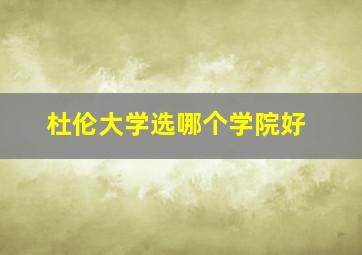 杜伦大学选哪个学院好