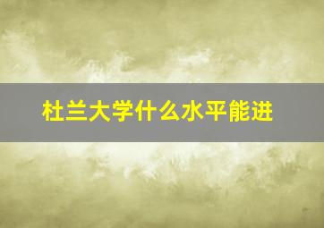 杜兰大学什么水平能进